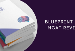 Blueprint MCAT Review In 2022: Is It Right For You?