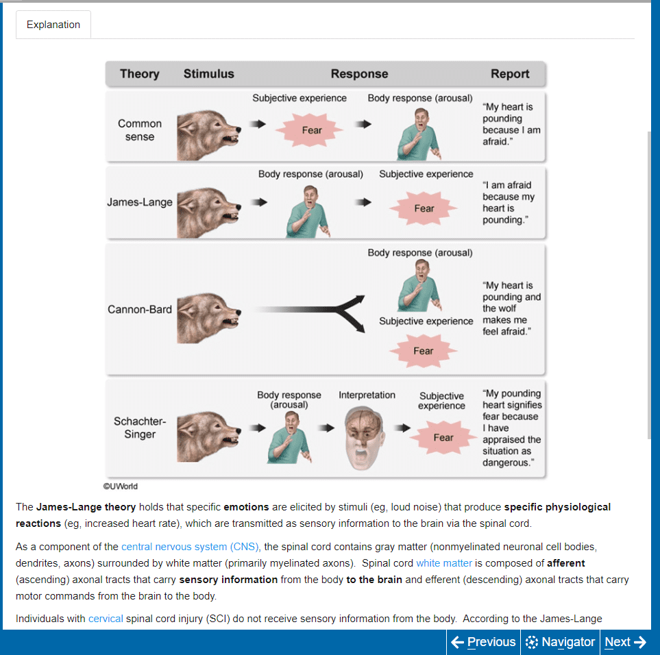 UWorld MCAT Answer Explanations