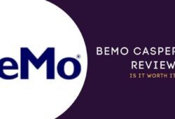 BeMo CASPer Prep Review: All You Need To Know