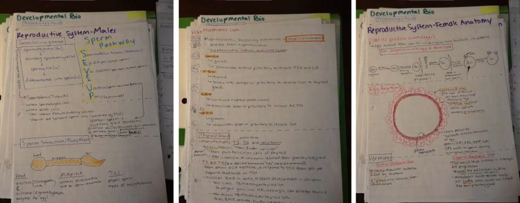 DAT Biology Notes