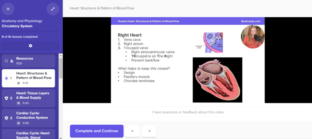 Anatomy Bootcamp Video Lectures