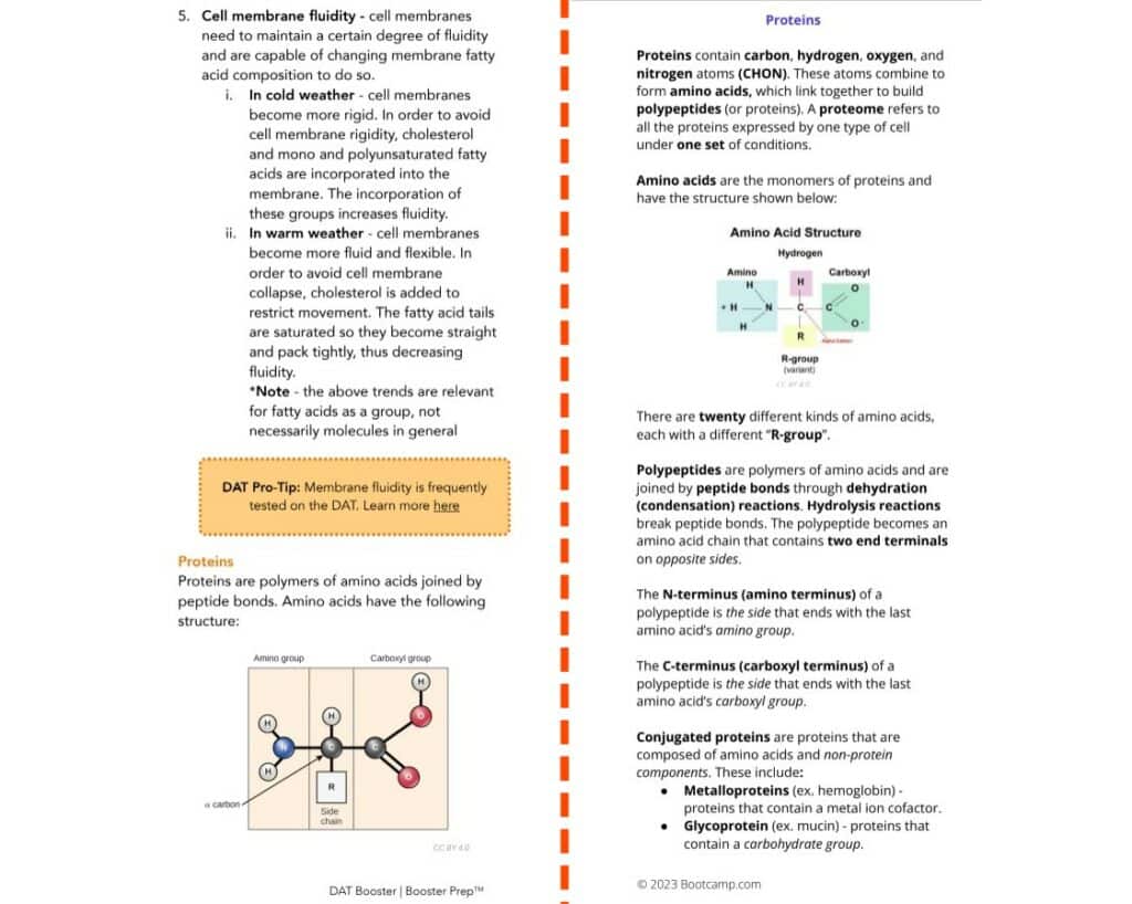 DAT Booster Vs. DAT Bootcamp Study Notes